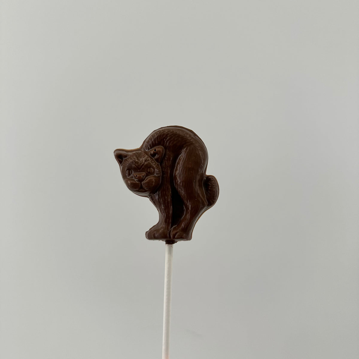 Scary Cat Pop