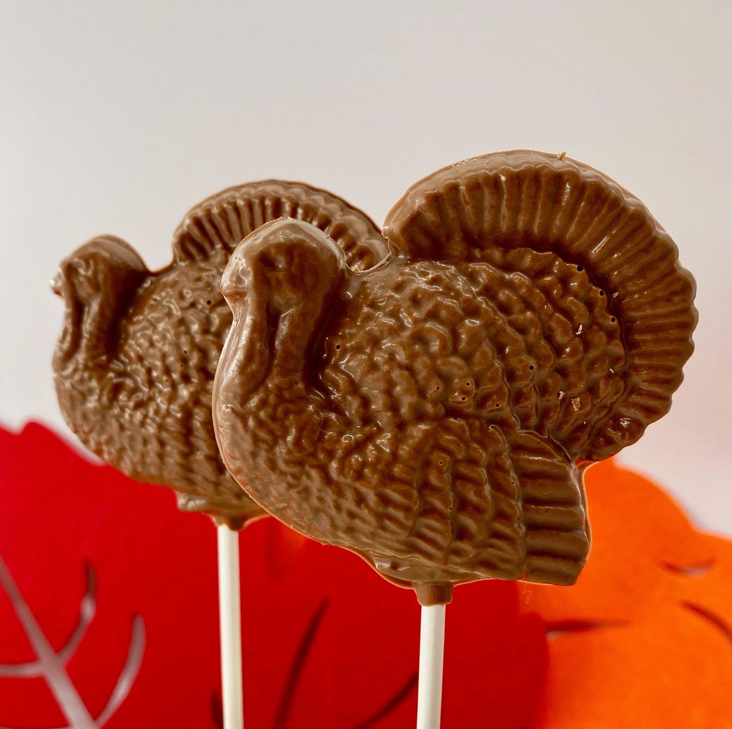 Chocolate Turkey Pop