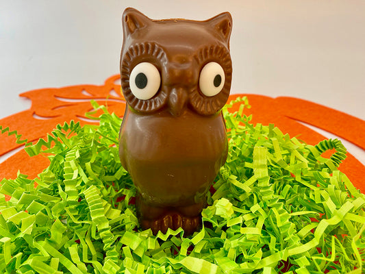 Chocolate Owl